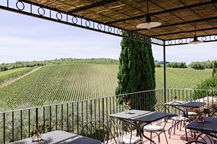 Terrace overlooking the vineyards at Querceto di Castellina