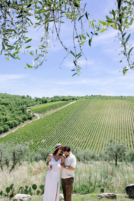 Panoramic view of the vineyards in Chianti